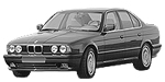 BMW E34 P20DE Fault Code